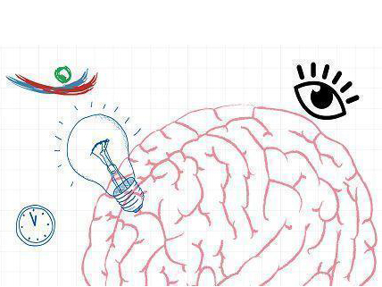 如何看到世界：眼睛、大腦與視覺